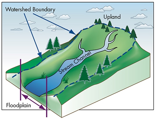 Image of a watershed.
