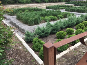 Green infrastructure image