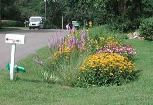 Bioswale image