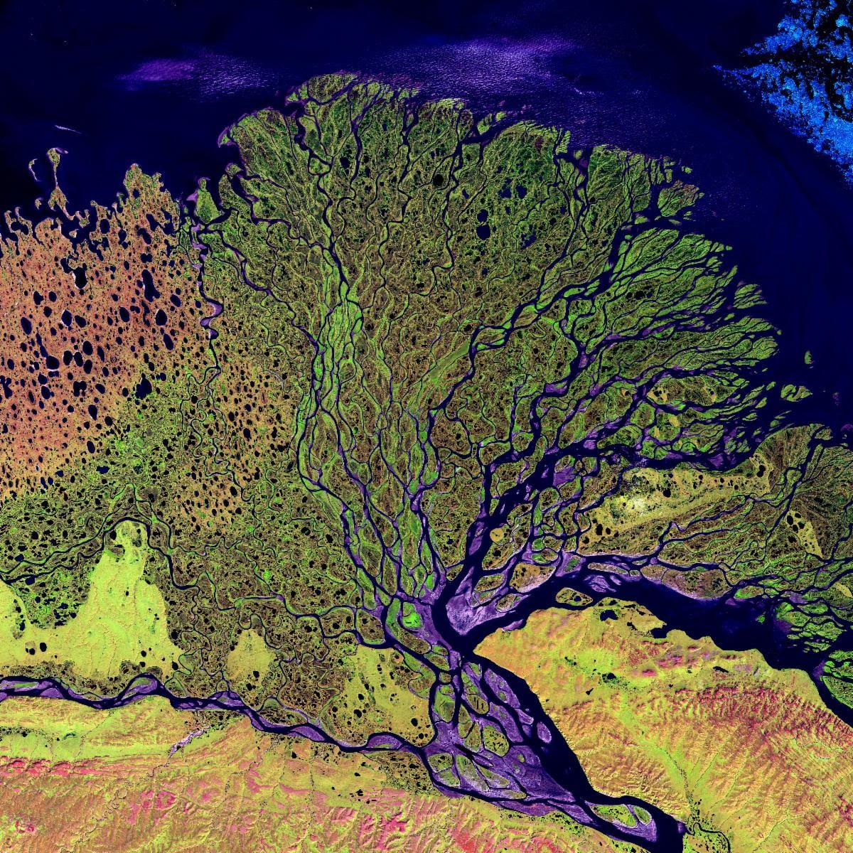 webinar image