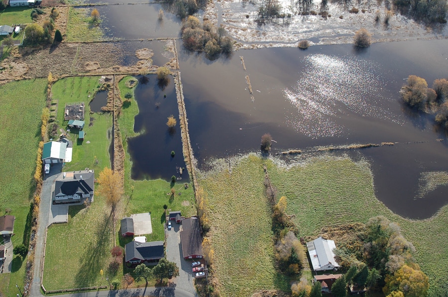 Image courtesy of Helmut Schmidt, Pierce County Public Works - Surface Water Management.